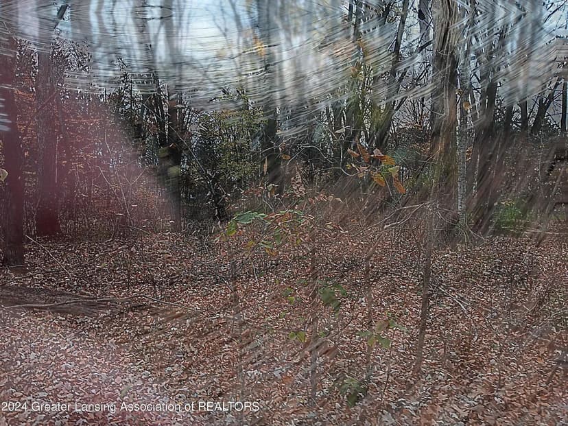 Vacant Land in Pleasant Lake