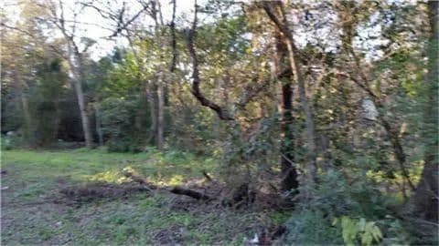 Vacant Land in Katy