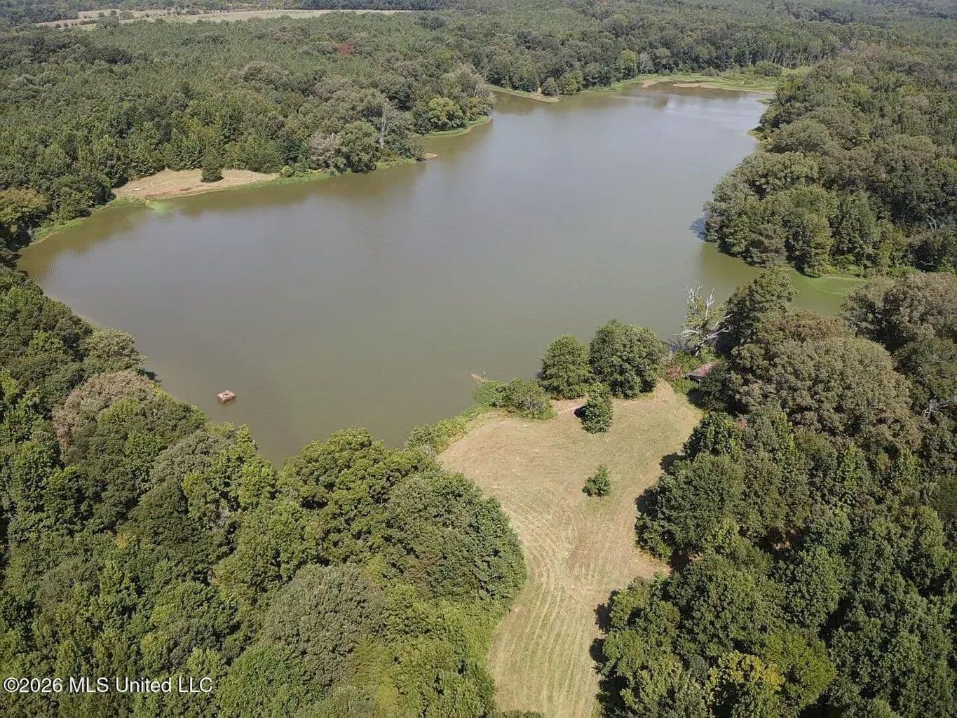 81-Acre Timber Property on 20-Acre Lake in Vaughan, MS - Vaughan, Mississippi, 39179