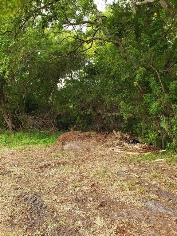 Vacant Land in Tarpon Springs