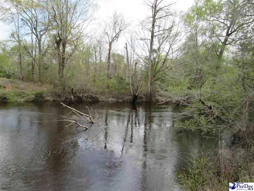 Lots & Land-Other in Florence