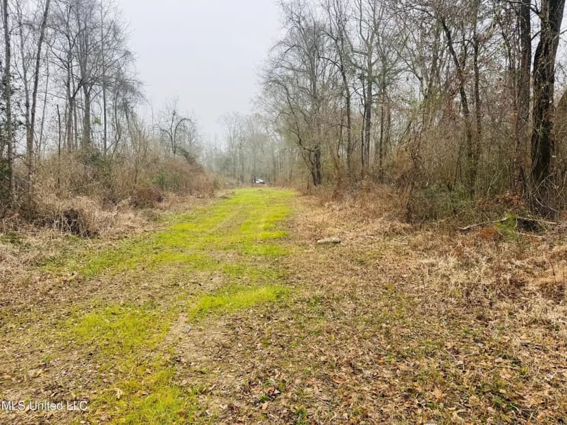  Hunting & Homesite Land Near Tylertown, MS