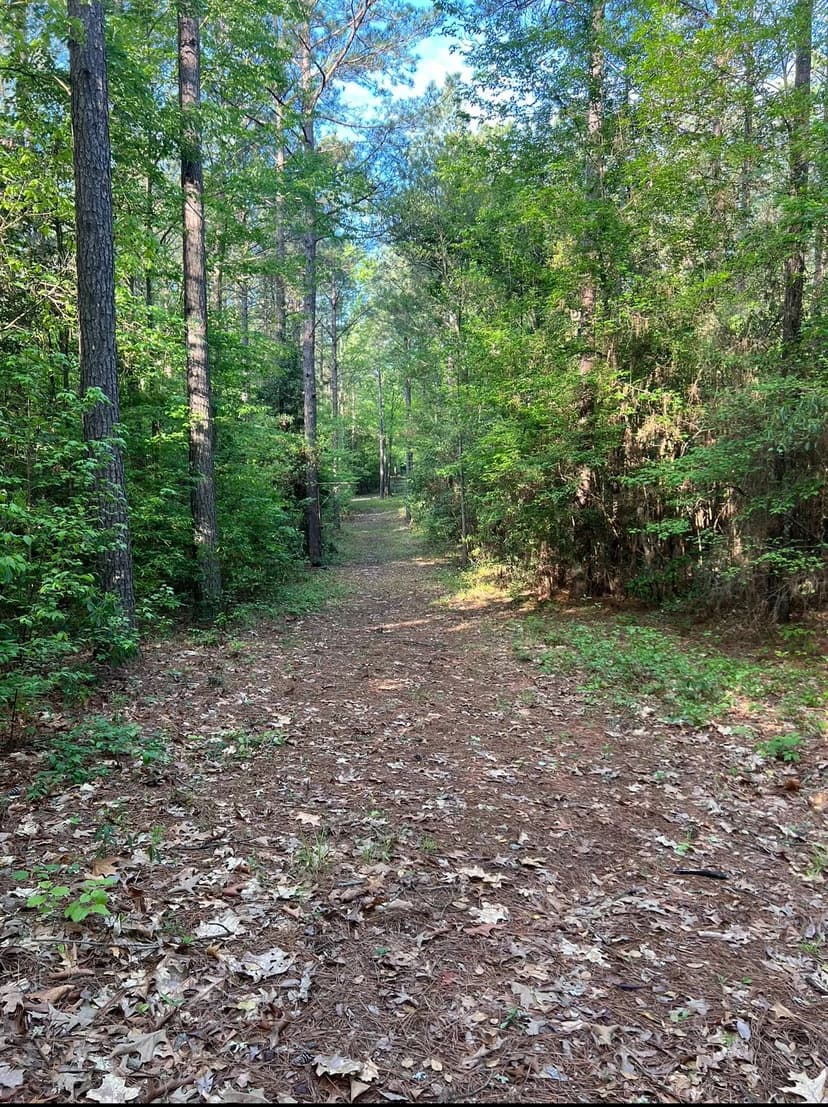 Jackson Parish Timber Tract 3