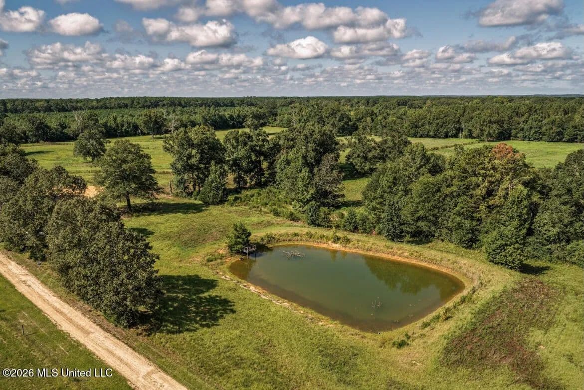 15± Acre Homesite in Smithdale, MS with Pond - Smithdale, Mississippi, 39664