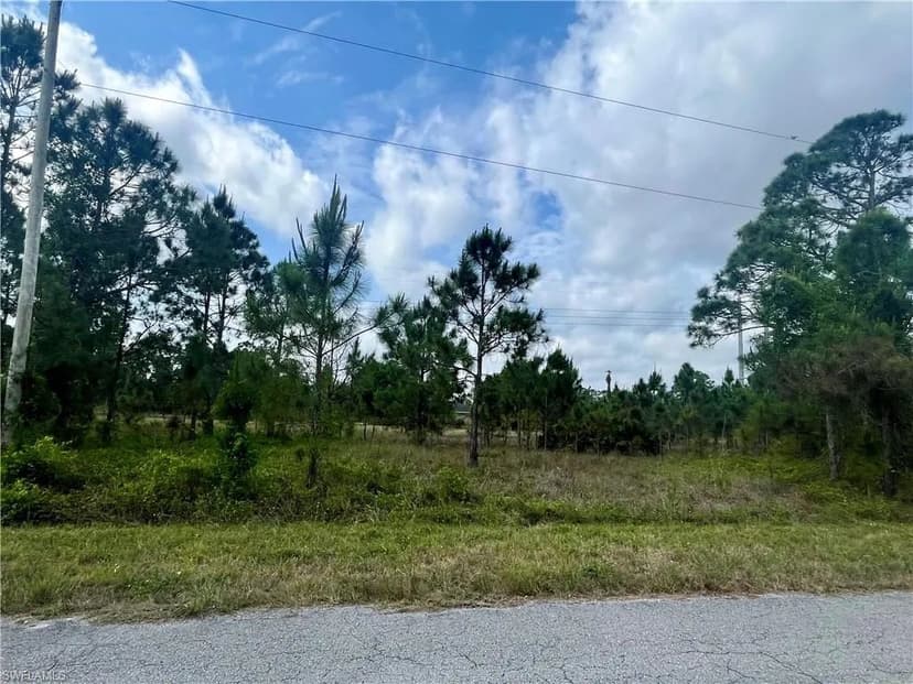 Vacant Land in Fort Myers