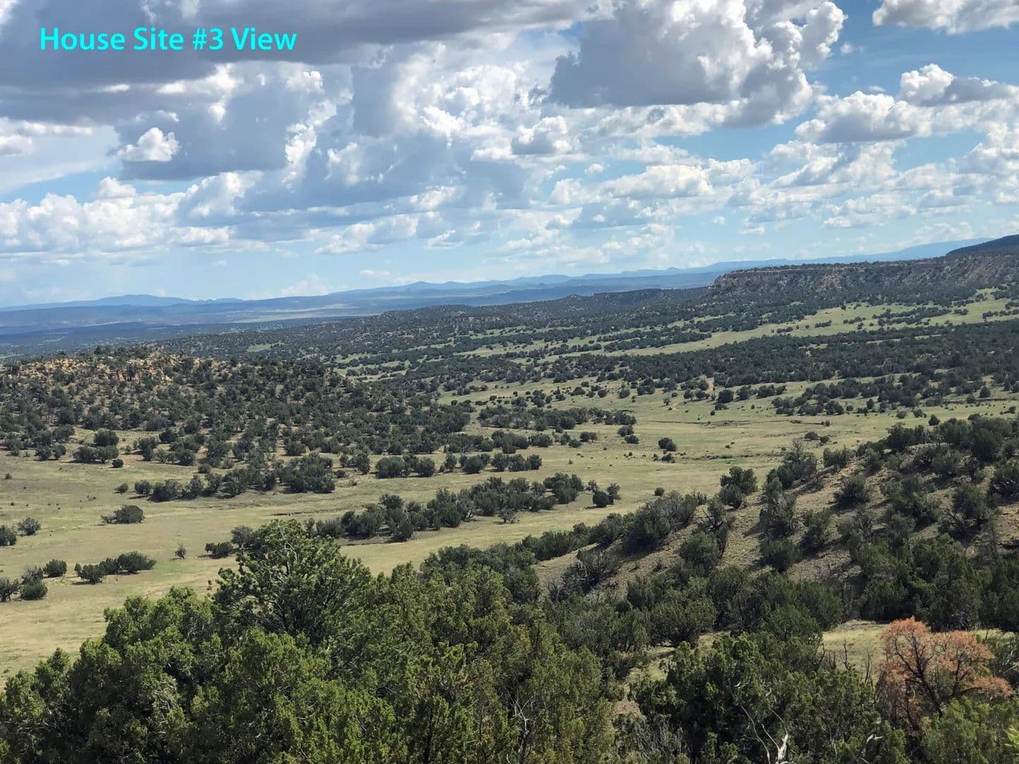 Elk Ridge Ranch - Fence Lake, New Mexico, 87513