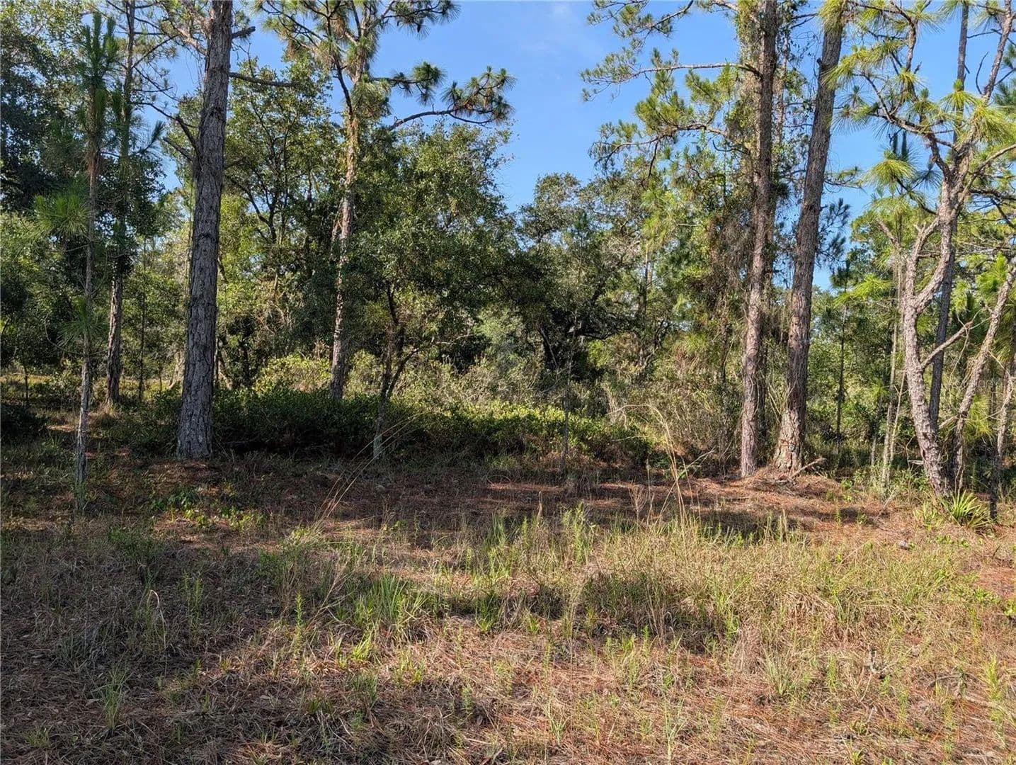 1 Acre of Land for Sale in INDIAN LAKE ESTATES, FL - Florida, 33855