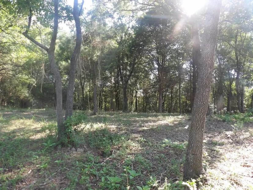 Vacant Land in Lamar