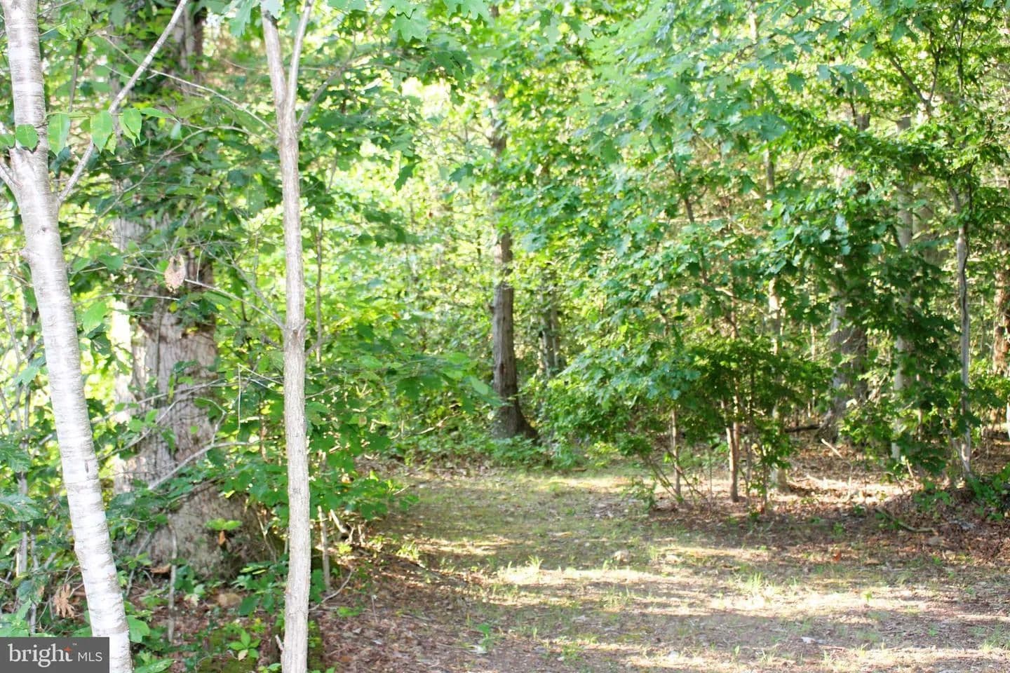 Vacant Land in Joppa - Joppa, Maryland, 21085