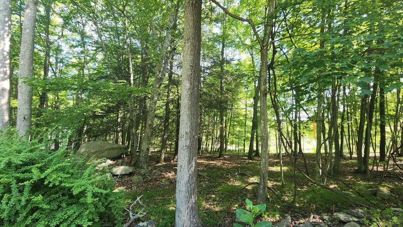 Vacant Land in Bushkill