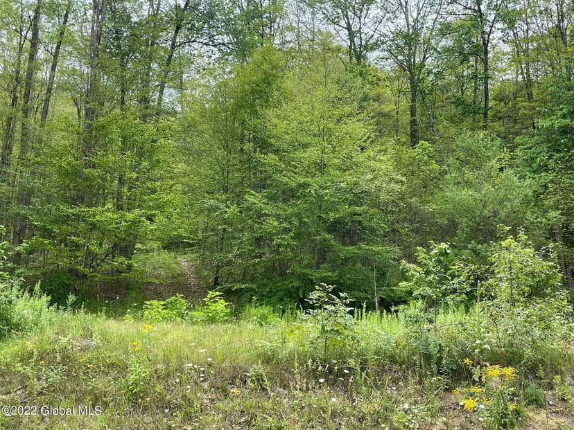 Lots & Land-Other in Queensbury