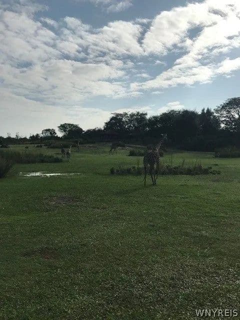 Lots & Land-Other in East Amherst