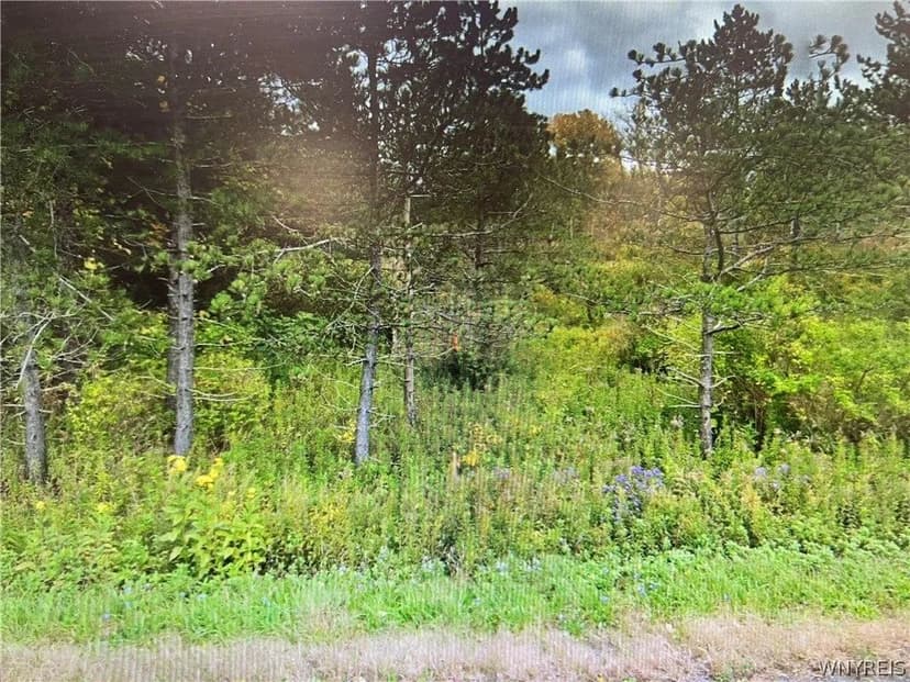 Lots & Land-Other in Aurora