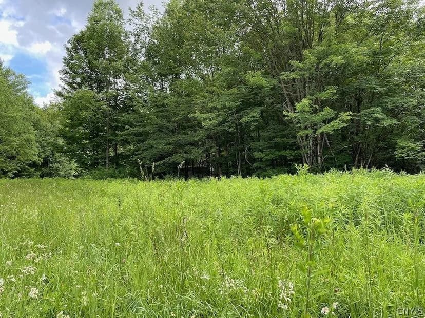 Lots & Land-Other in Altmar