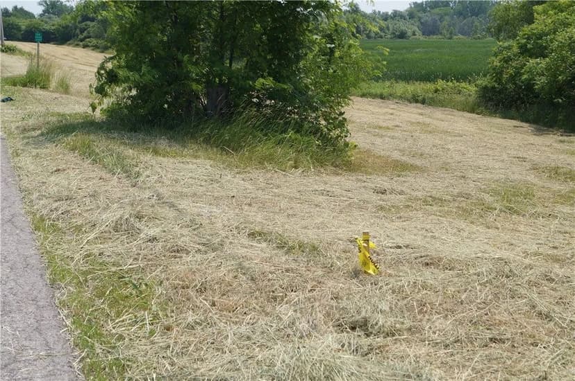 Lots & Land-Other in Albion