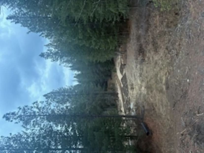 Vacant Land in Sagle