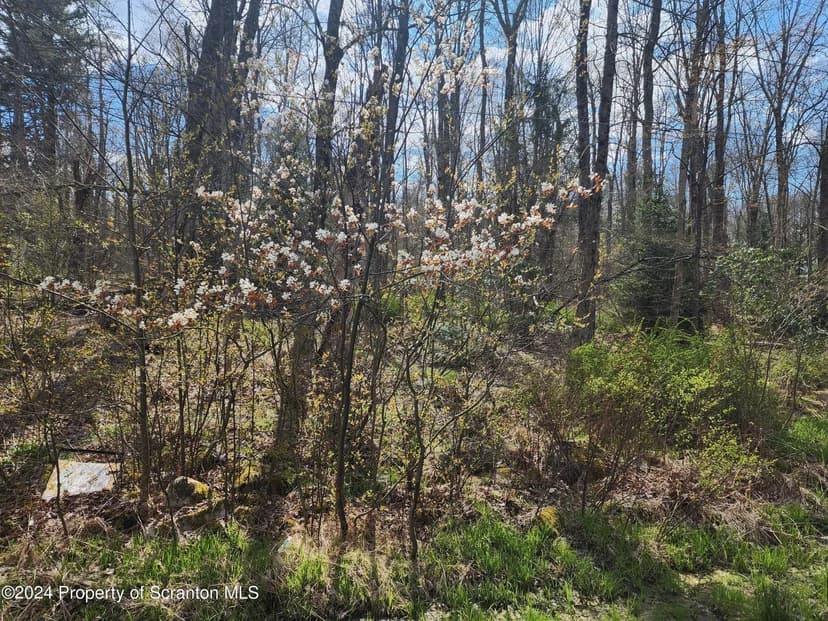 Lots & Land-Other in Elmhurst