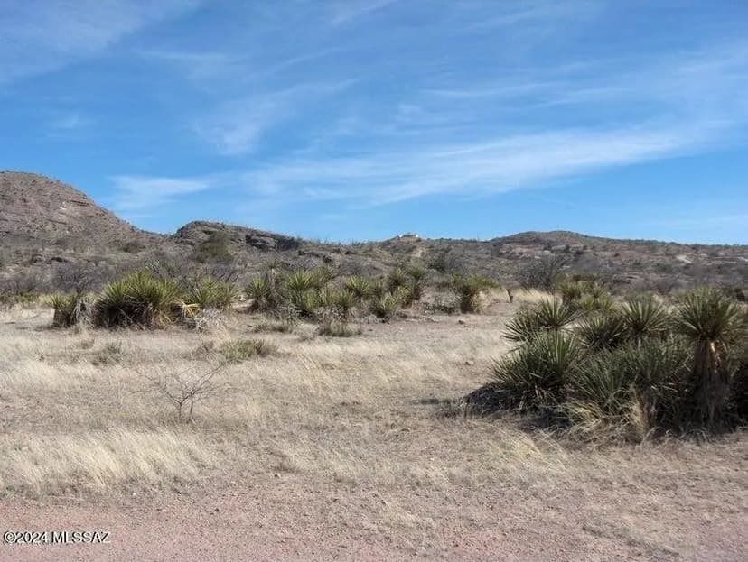 Lots & Land-Other in Rio Rico