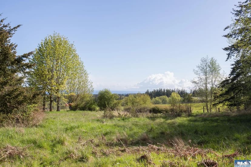 Vacant Land (0-10 Acres) in Port Angeles