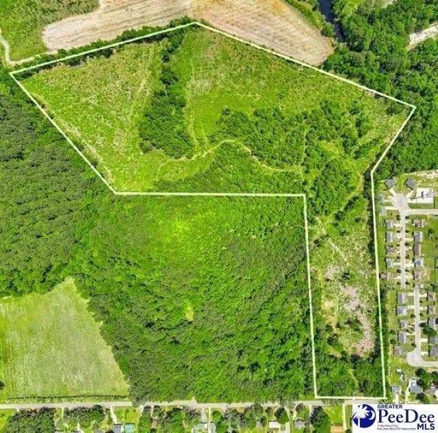 Lots & Land-Other in Florence