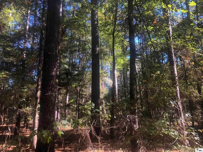 Vacant Land in Bastrop