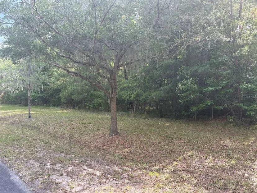 Vacant Land in Gainesville