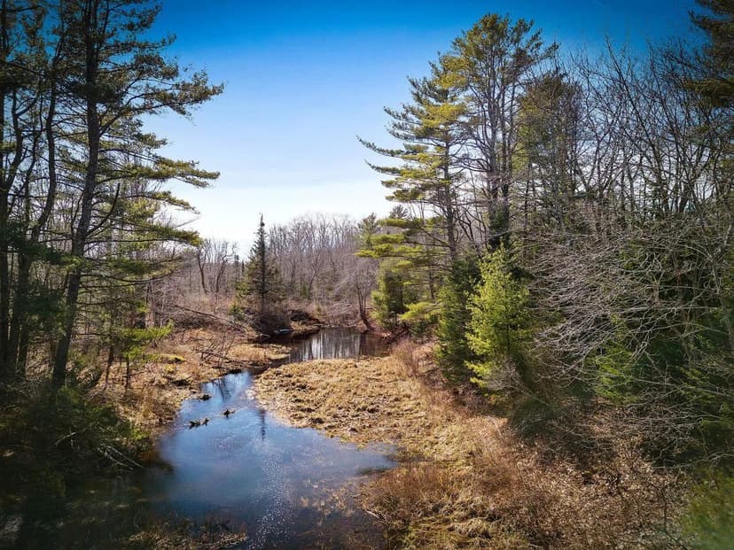 Land -Single Family Acreage in Rockland