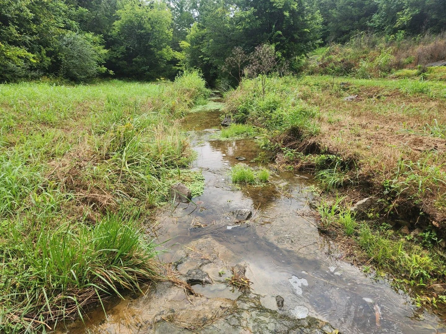 Lots & Land-Other in Bradyville - Bradyville, Tennessee, 37026