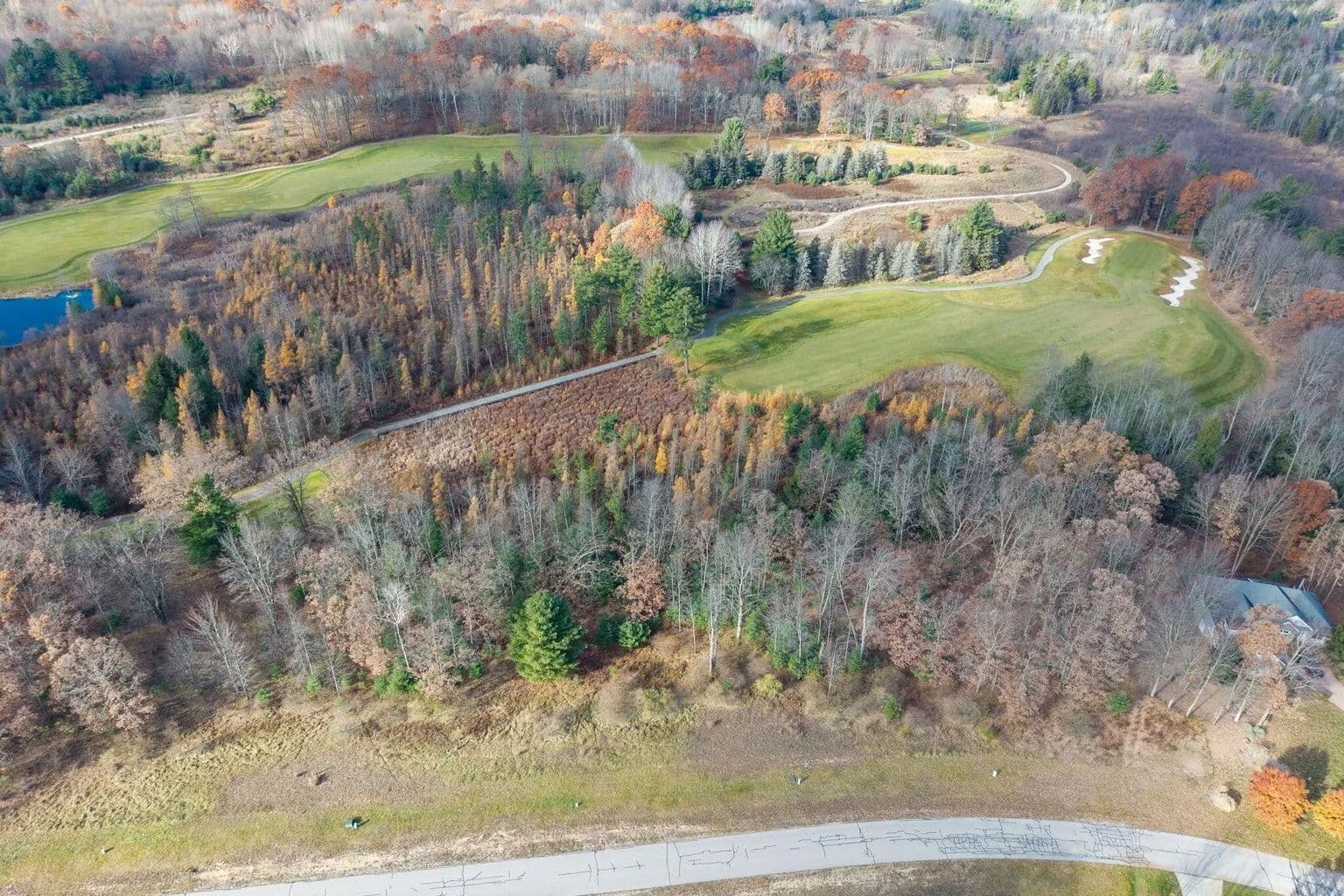 Lots & Land-Other in Stanwood - Stanwood, Michigan, 49346