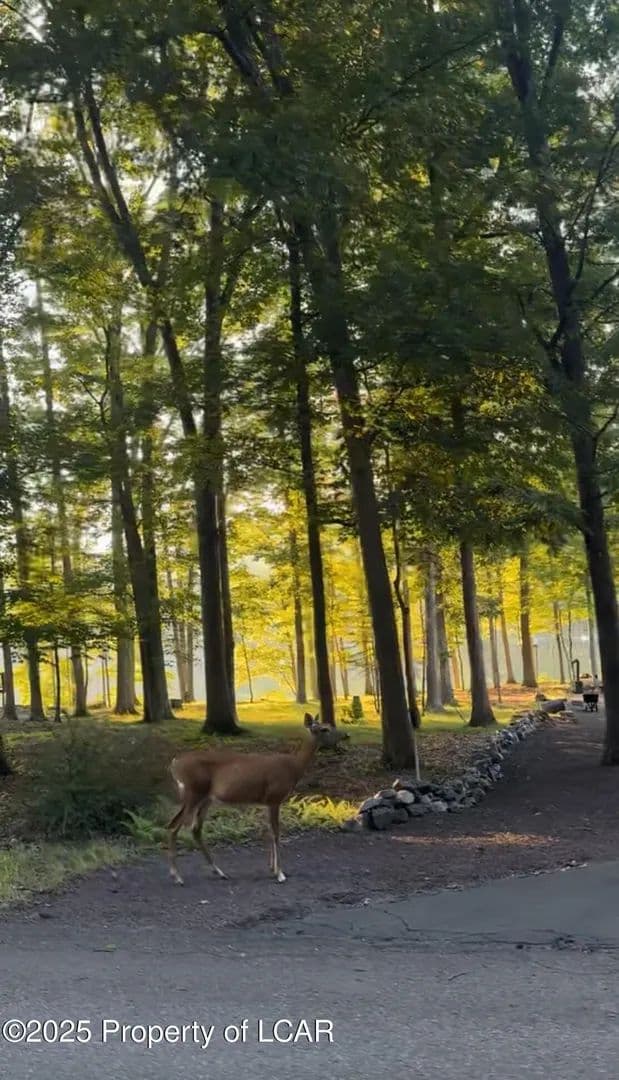 Lots & Land-Other in Hazleton