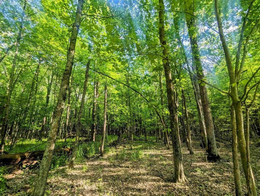 Lots & Land-Other in Arkdale