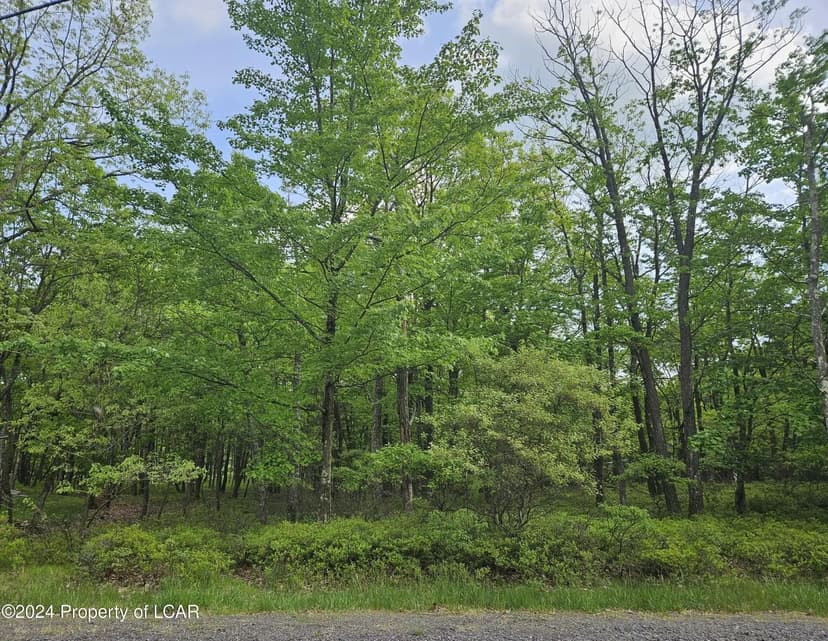 Lots & Land-Other in Hazle Twp