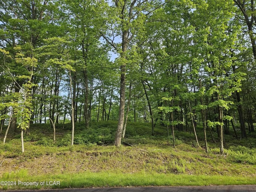 Lots & Land-Other in East Union Township