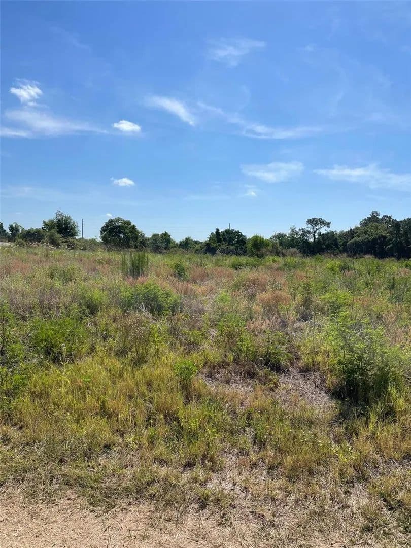 Lots & Land-Other in AVON PARK