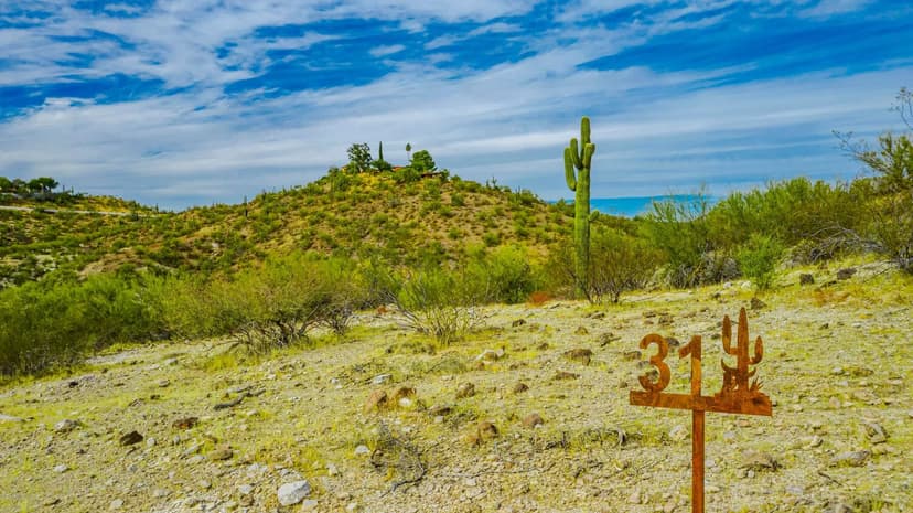 Lots & Land-Other in Wickenburg