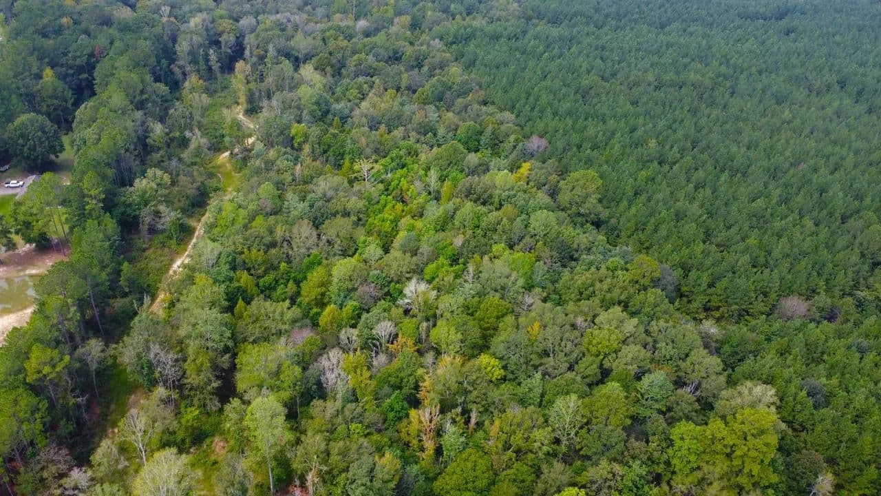 14.8 Acres Marion County - Columbia, Mississippi, 39429