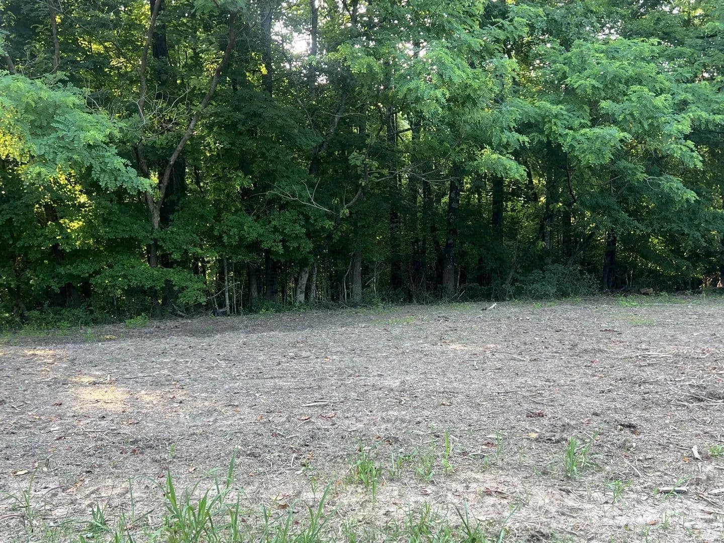 Land -Single Family Acreage in Clarksville - Clarksville, Tennessee, 37043