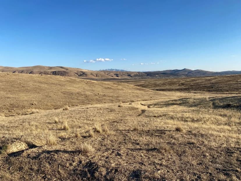 Vacant Land in Elko