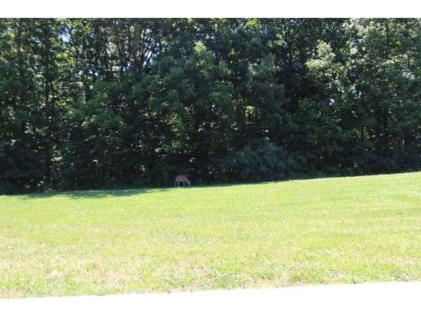 Vacant Land in Charleston