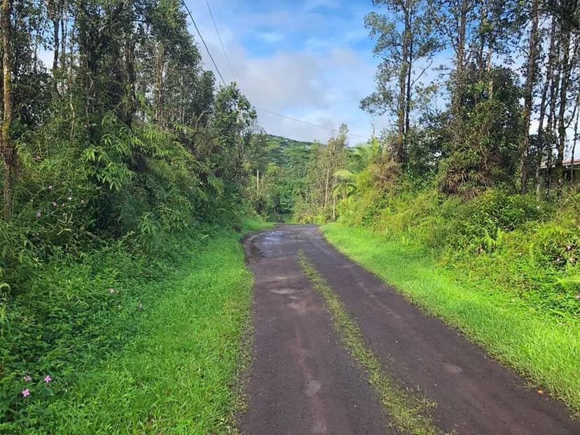 Vacant Land in Pahoa