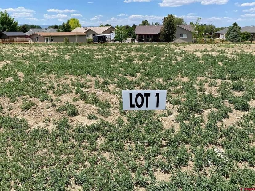 Vacant Land in Montrose