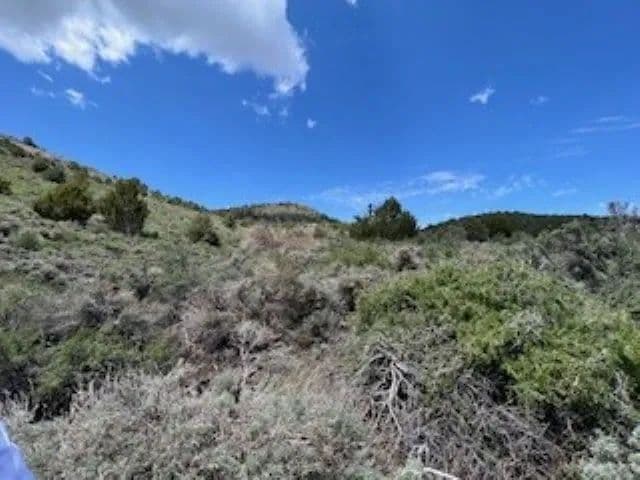 Land -Agricultural (Not Zoned) in Virgina City