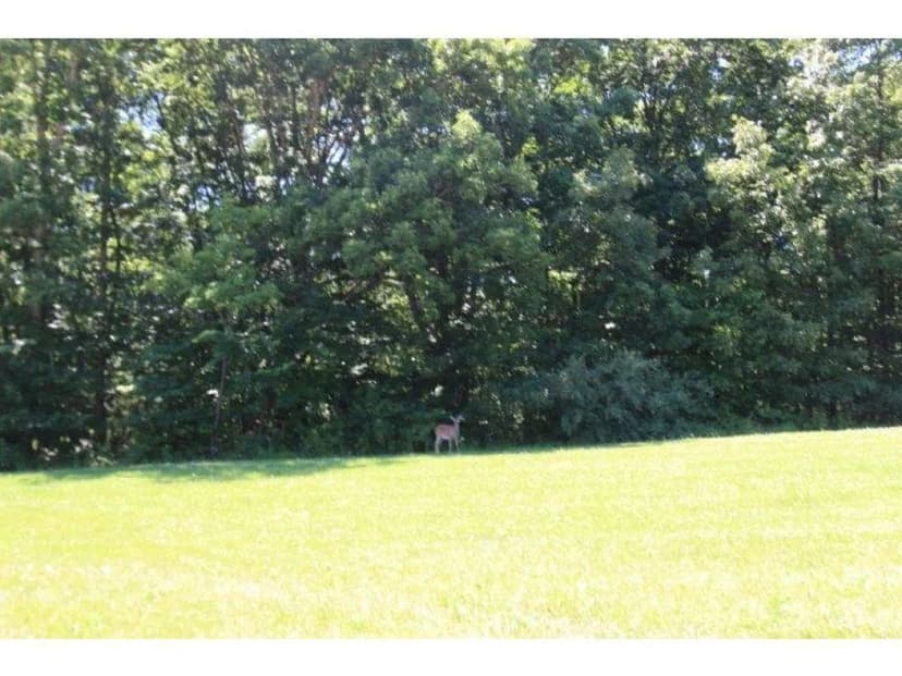 Vacant Land in Charleston