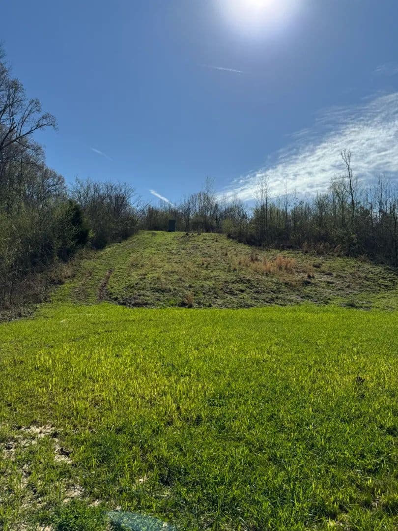 75 Acres with a Camp in Tallahatchie County, MS 