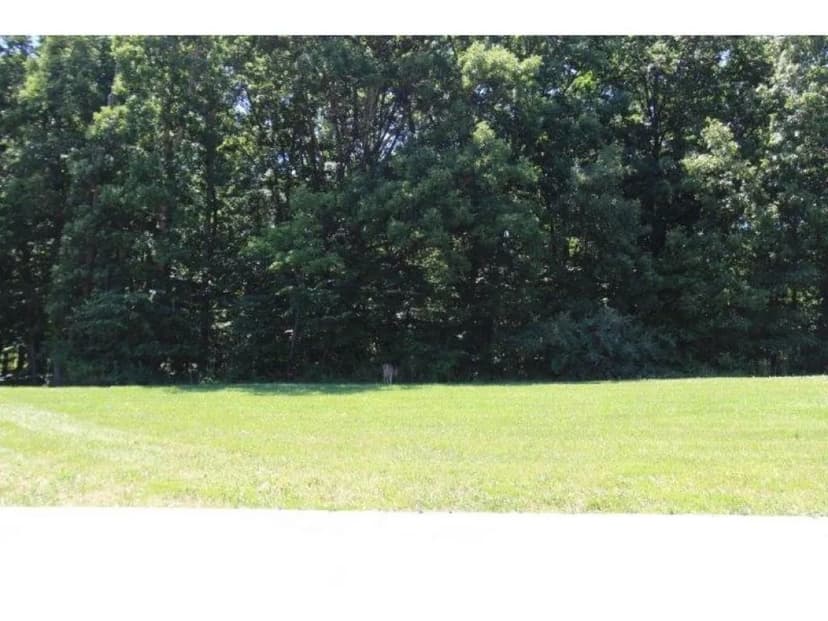 Vacant Land in Charleston