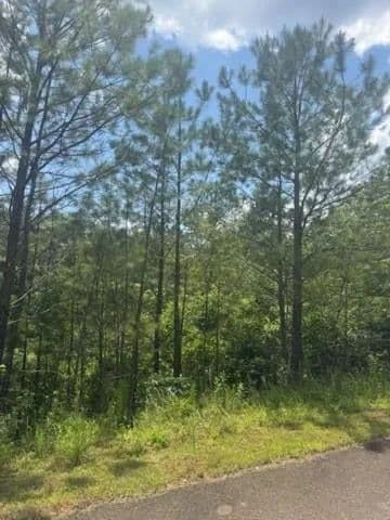 Lots & Land-Other in Ellijay - Ellijay, Georgia, 30536