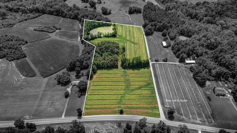 Vacant Land (10+ Acres) in Reidsville