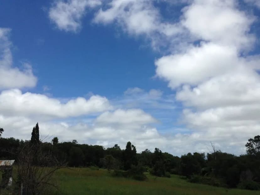 Vacant Land in MOUNTAIN VIEW