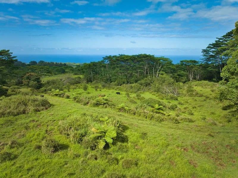 Vacant Land in HAKALAU