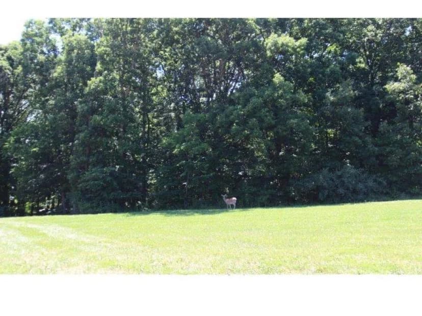 Vacant Land in Charleston